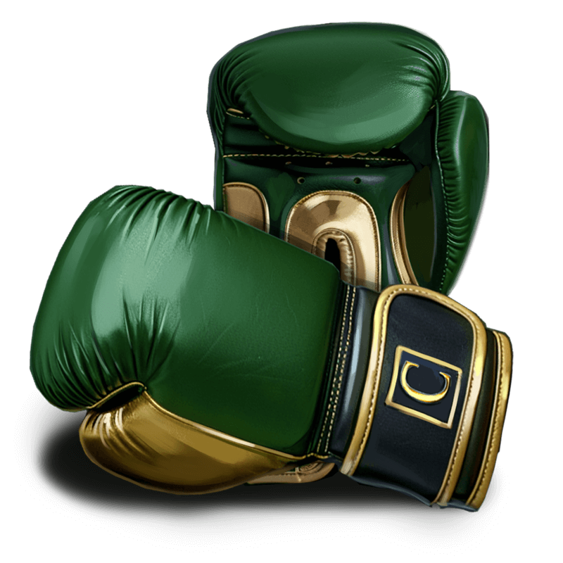 Collection 5 (card 3)