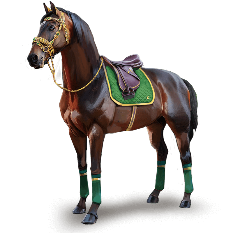 Collection 6 (card 1)